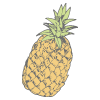 Ananas