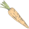 Carrots